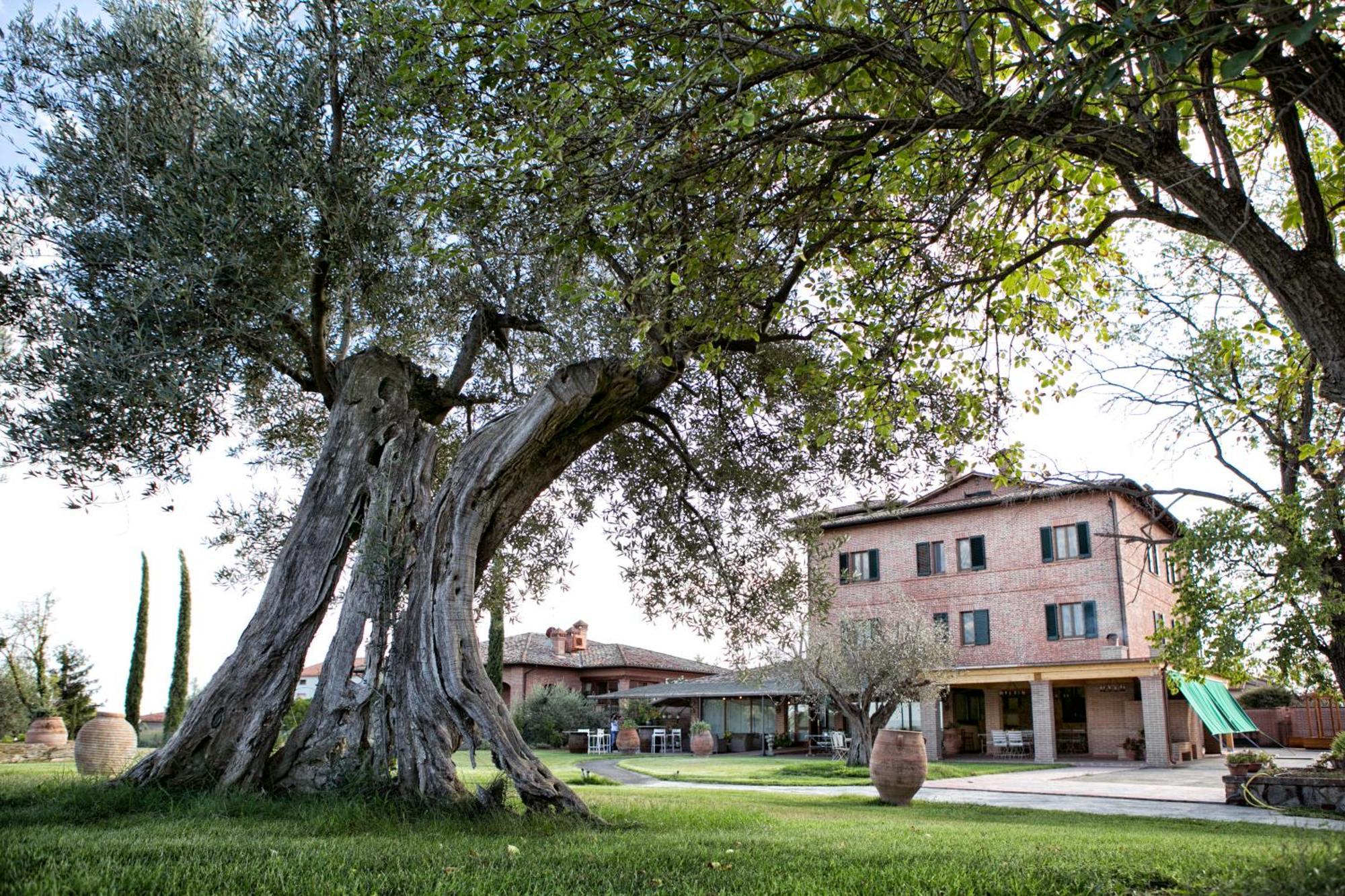 Locanda Poggioleone Castiglione del Lago Exterior foto